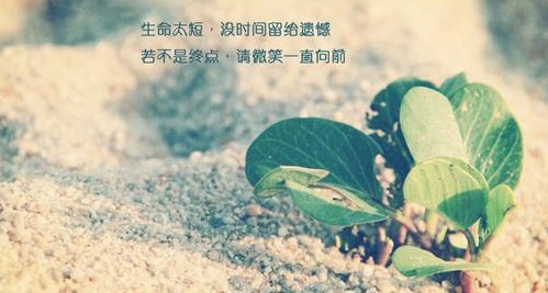 2019考研准考证丢失有救了!研招网再次开通下载